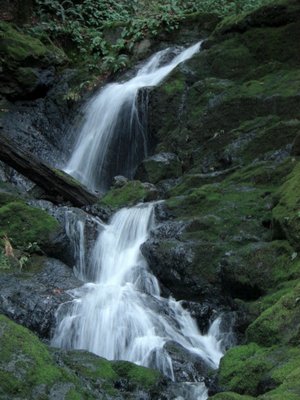 A wonderful hike in Marin County: Cataract Falls